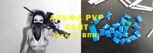 mdpv Богородицк