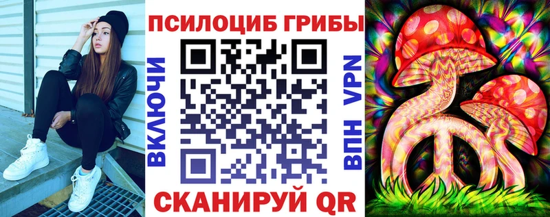 Купить  Рошаль  Псилоцибиновые грибы Psilocybe 